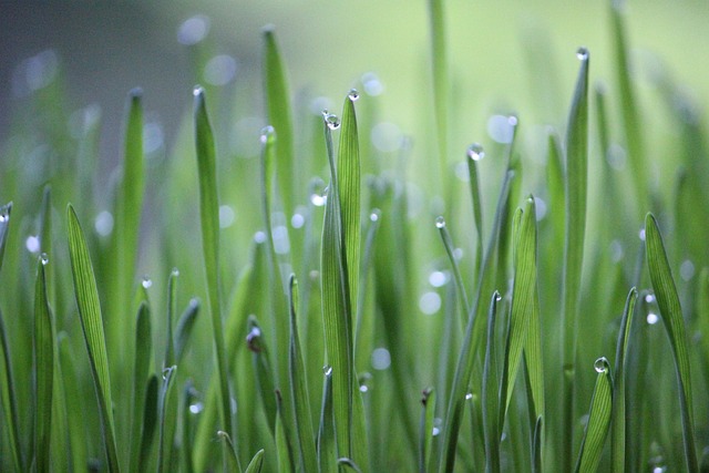 Cultivating a Growth Mindset: Empowering Children to Learn and Thrive